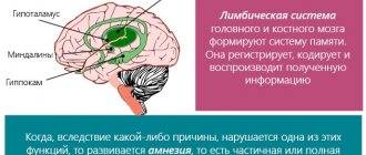 Ушиб головного мозга: симптомы и признаки, первая помощь и лечение мягких тканей, код по мкб-10, а также отличия от сотрясения