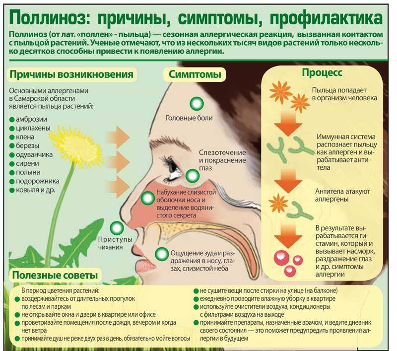Поллиноз (сенная лихорадка): симптомы и лечение заболевания