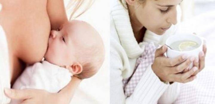 Можно ли делать прививку кормящей маме и как проводится вакцинация при грудном вскармливании