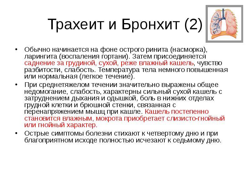 Лечение трахеита народными средствами в домашних условиях pulmono.ru
лечение трахеита народными средствами в домашних условиях