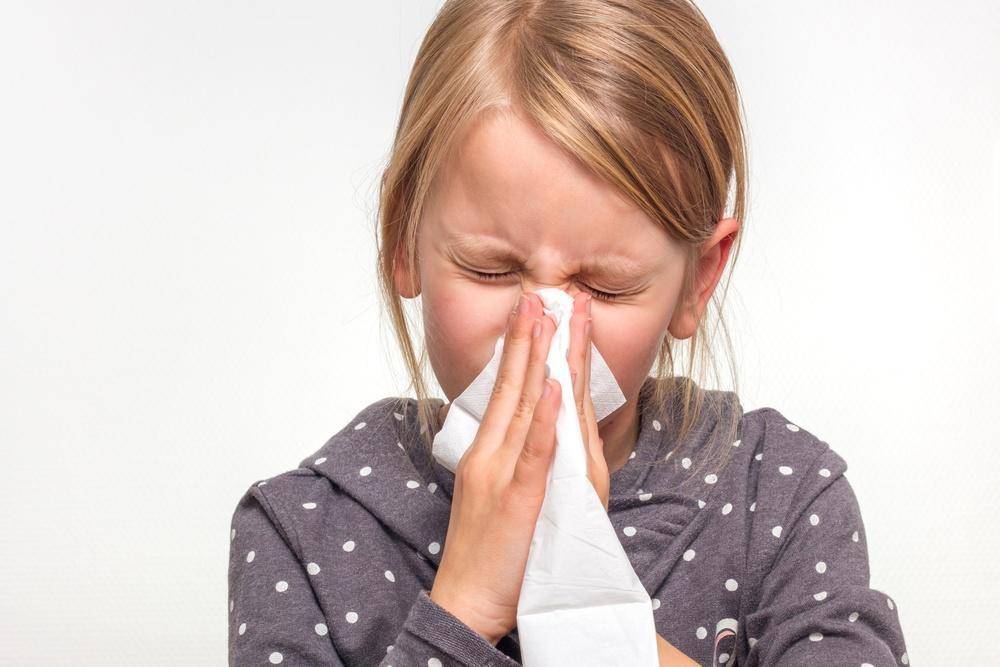Чихание и насморк без температуры: лечение у взрослых и детей
