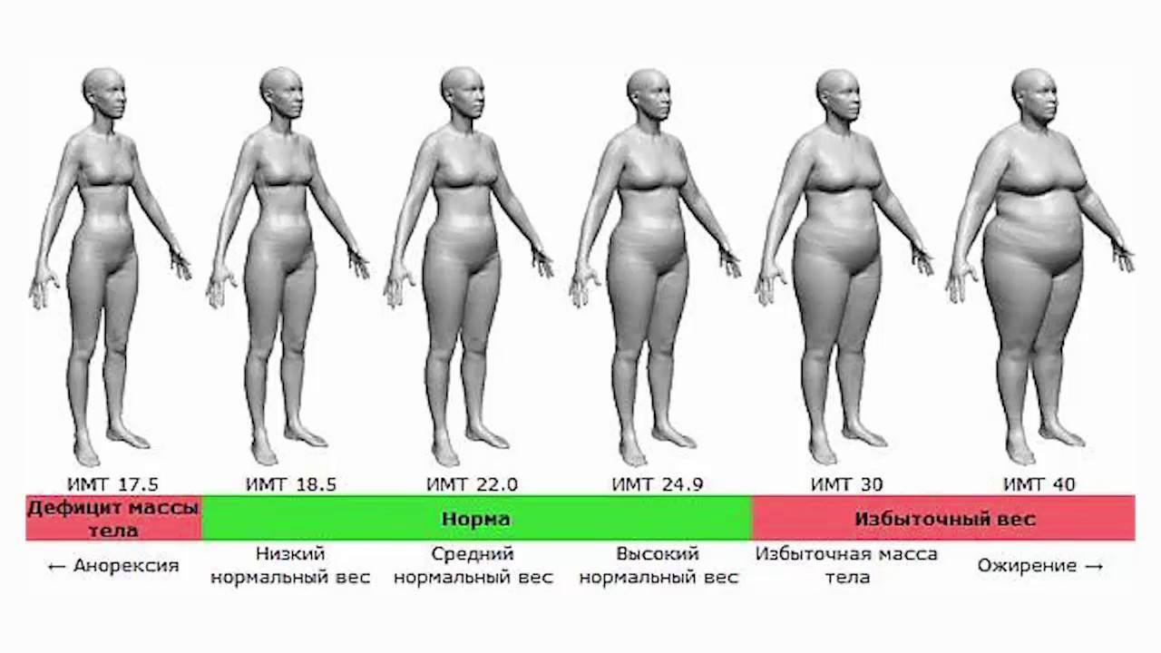 Виды ожирения у женщин. типы ожирения у женщин: классификация