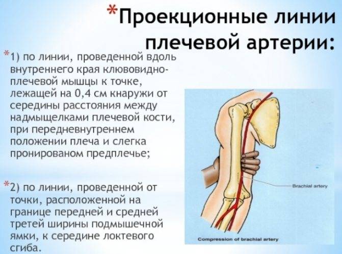 Острый тромбоз (эмболия) артерий конечности: лечение, симптомы — онлайн-диагностика