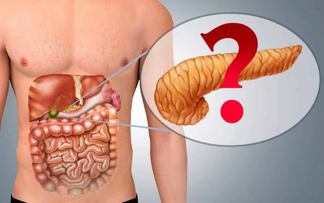 Воспаление поджелудочной железы (панкреатит): что это, как проявляется и чем опасен панкреатит?