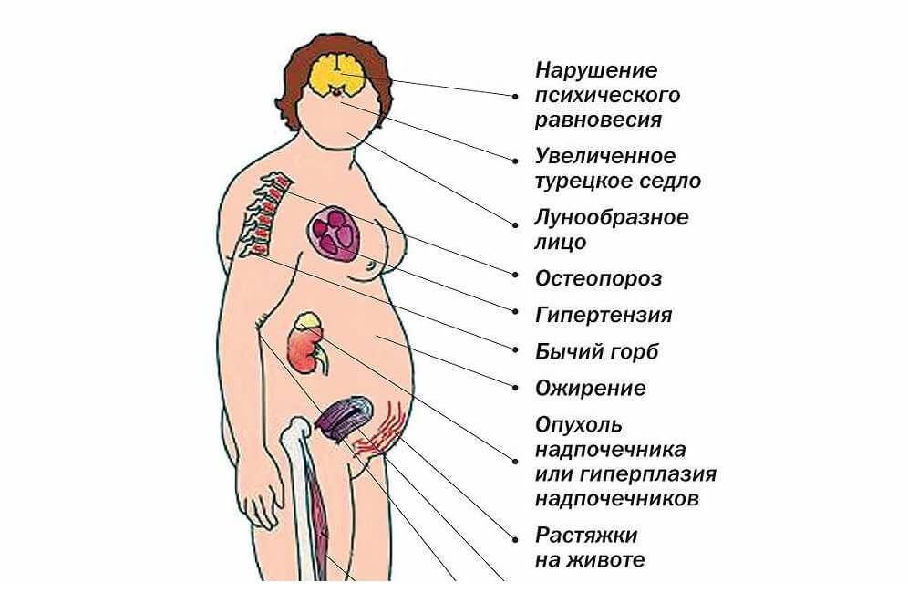 Лечение надпочечников народными средствами: самые эффективные способы :: syl.ru