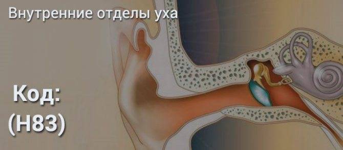 Мкб-10 адгезивная болезнь среднего уха || адгезивный отит код по мкб 10 - мед-болезни
