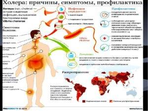 Холера: симптомы, причины болезни, профилактика и лечение, возбудитель