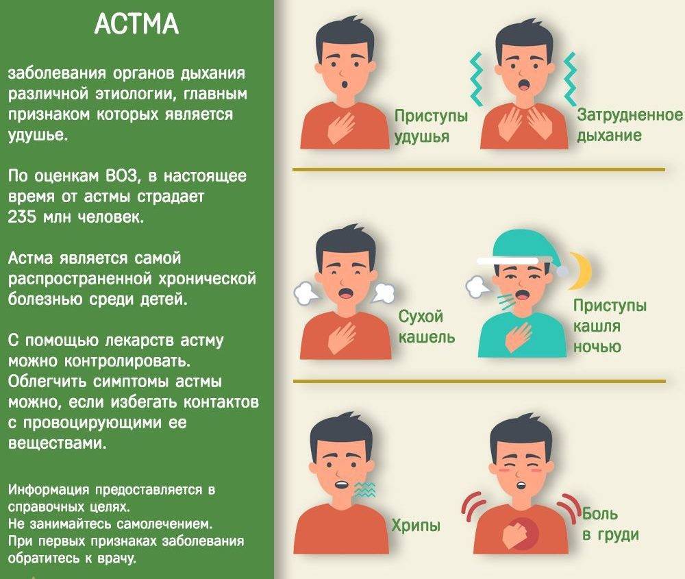 Бронхиальная астма: первые признаки, симптомы и лечение у взрослых