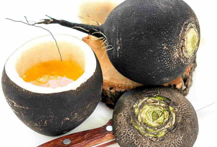 Редька с медом от кашля для детей: рецепт приготовления черного корнеплода
