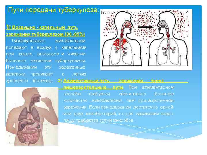 Каким туберкулезом можно заразиться