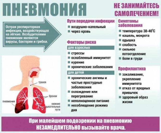 Признаки пневмонии у взрослого и ребенка без температуры и с температурой