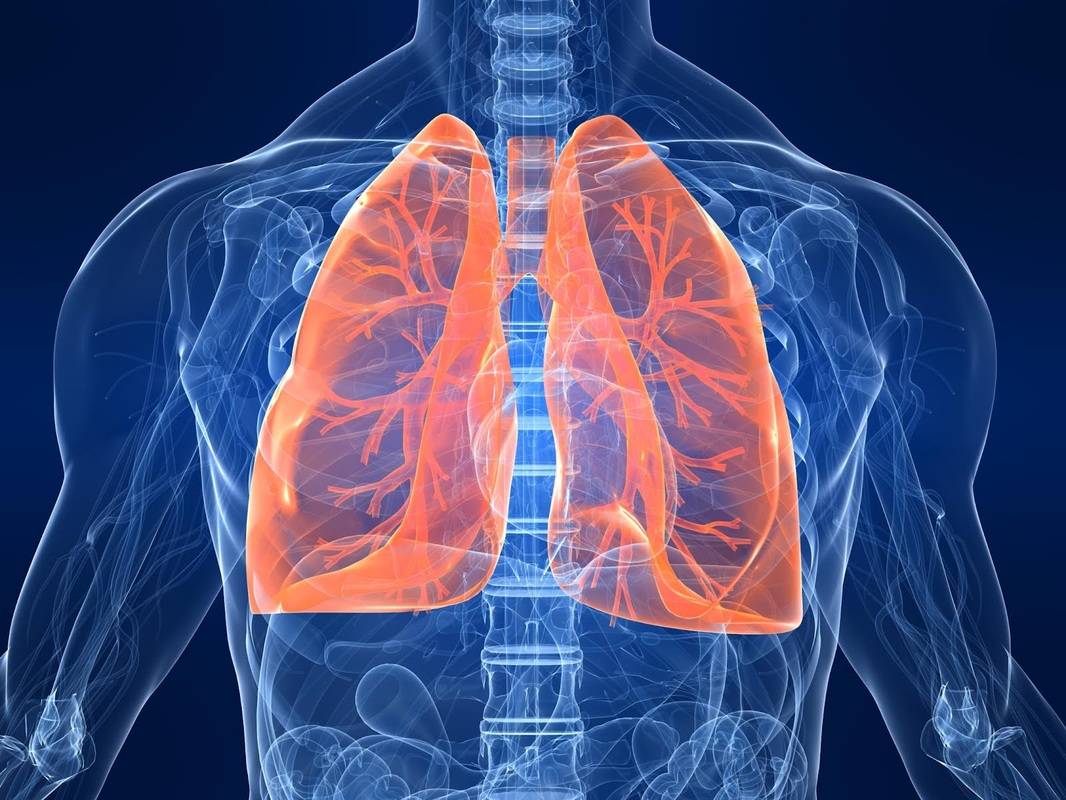 Что такое пневмония и чем она опасна для детей и взрослых