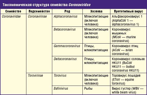 Симптомы коронавируса (covid-19) у человека