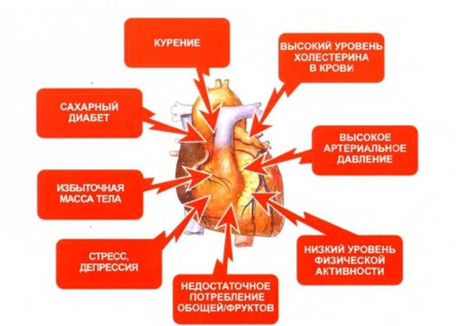 Профилактика болезней сердца и сосудов сообщение