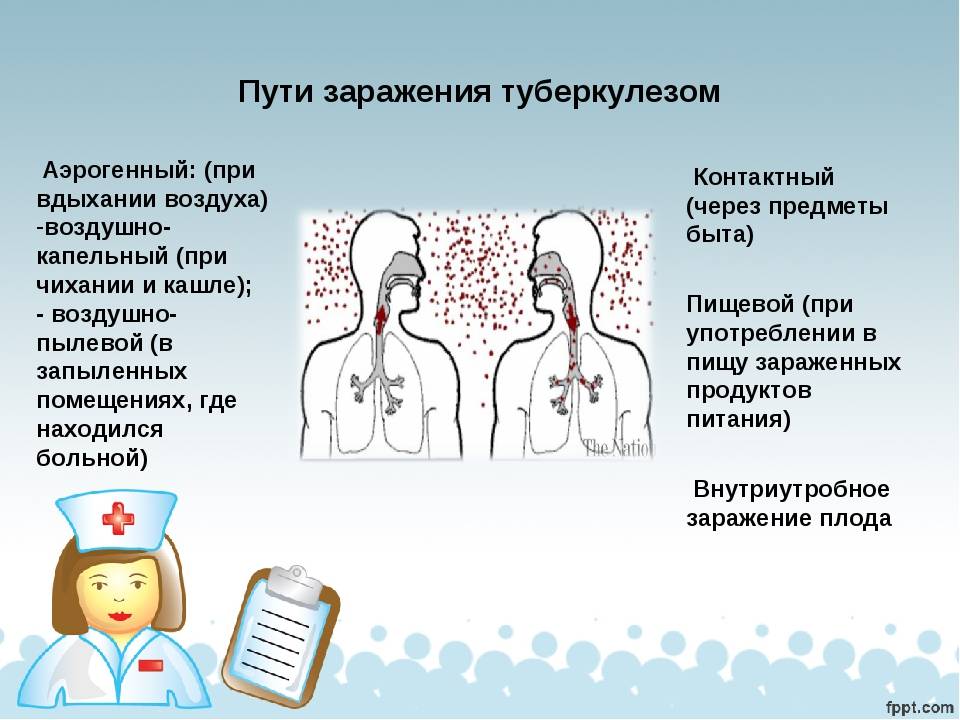 Как передается туберкулез легких - каким путем от человека, как можно заразиться чахоткой с мокротой, воздушно-капельным