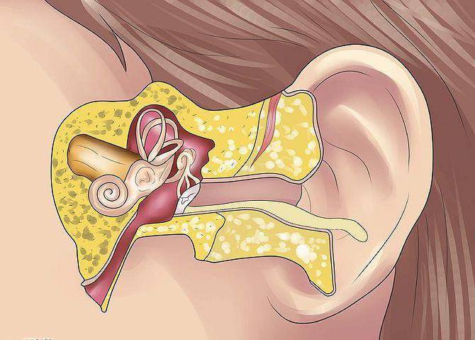 Наружный отит - лечение уха, симптомы у взрослых внешнего, как лечить острое воспаление слухового прохода в домашних условиях, признаки