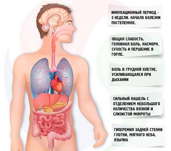 Симптомы воспаления легких у подростков и лечение пневмонии