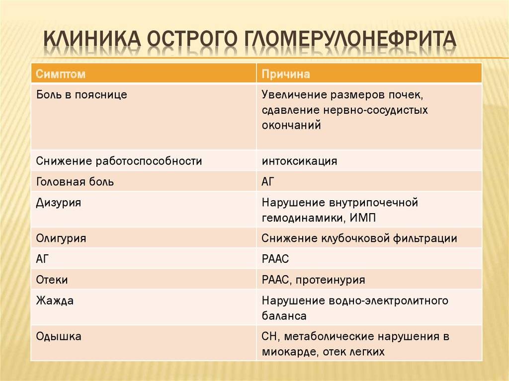 Хронический гломерулонефрит: формы, симптомы и лечение - kardiobit.ru