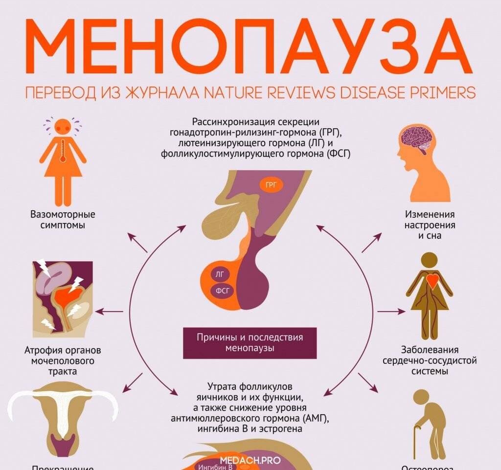 Климакс и климактерический синдром: что происходит в организме женщины? предвестники, приливы, симптомы и проявления, диагностика климакса (менопаузы). заболевания, связанные с климаксом (миома матки, гиперплазия эндометрия и другие)