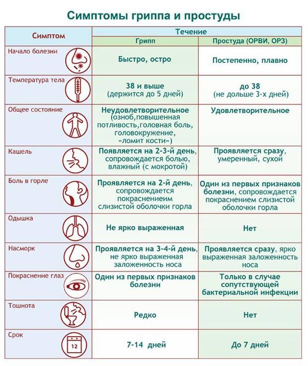 Чем отличаются симптомы гриппа от орви — proinfekcii.ru
