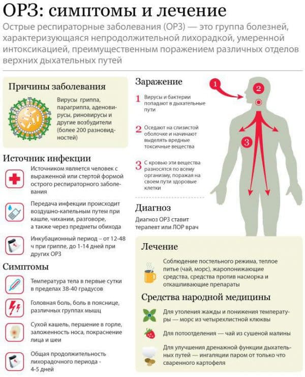 Заразна пневмония или нет для окружающих: может ли воспаление легких передаться от больного человека к другому воздушно-капельным путем или через поцелуй? | fok-zdorovie.ru