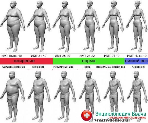 Ожирение 1 степени: причины, виды, лечение, диета, меню на неделю, отзывы, видео