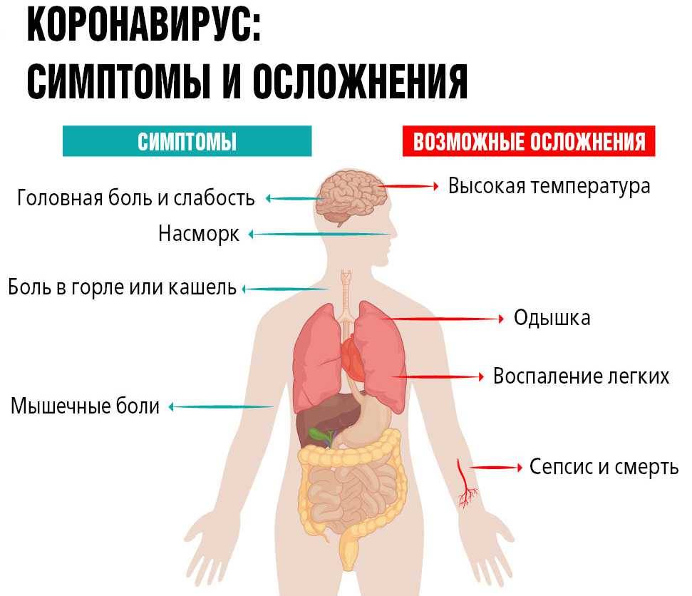 Симптомы коронавируса (covid-19) при поражении печени и дыхательных путей