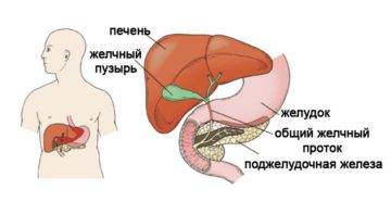 Диффузные изменения паренхимы печени и поджелудочной железы: признаки и лечение