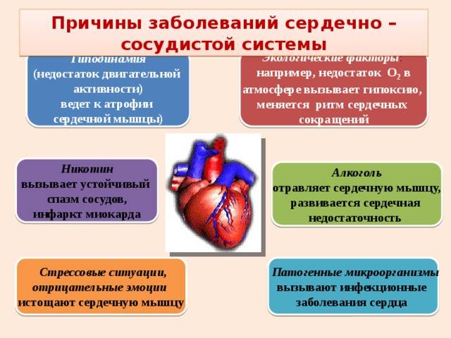 Сердечно-сосудистые заболевания - причины, симптомы, лечение