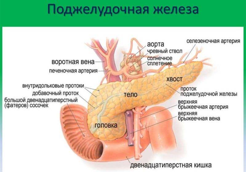Воспаление поджелудочной железы: панкреатит. признаки и причины воспаления, лечение