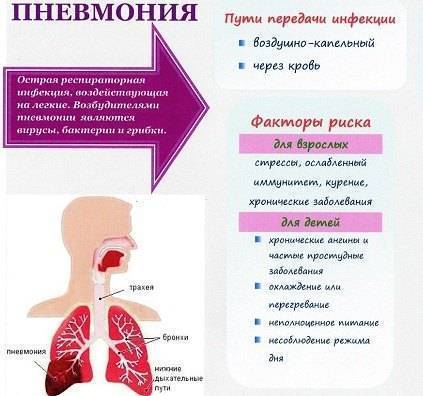 Пневмония – передается или нет инфекционное заболевание воспаление легких