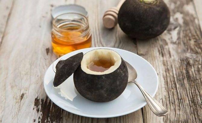 Как нужно пить сироп из чёрной редьки с мёдом для лечения кашля, чтобы он помог — до или после еды
