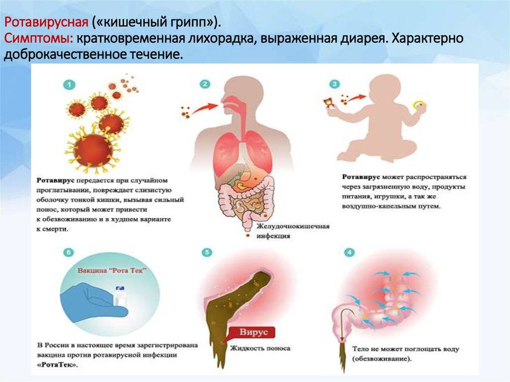 Ротавирусная инфекция у детей: симптомы, лечение, особенности питания, профилактика