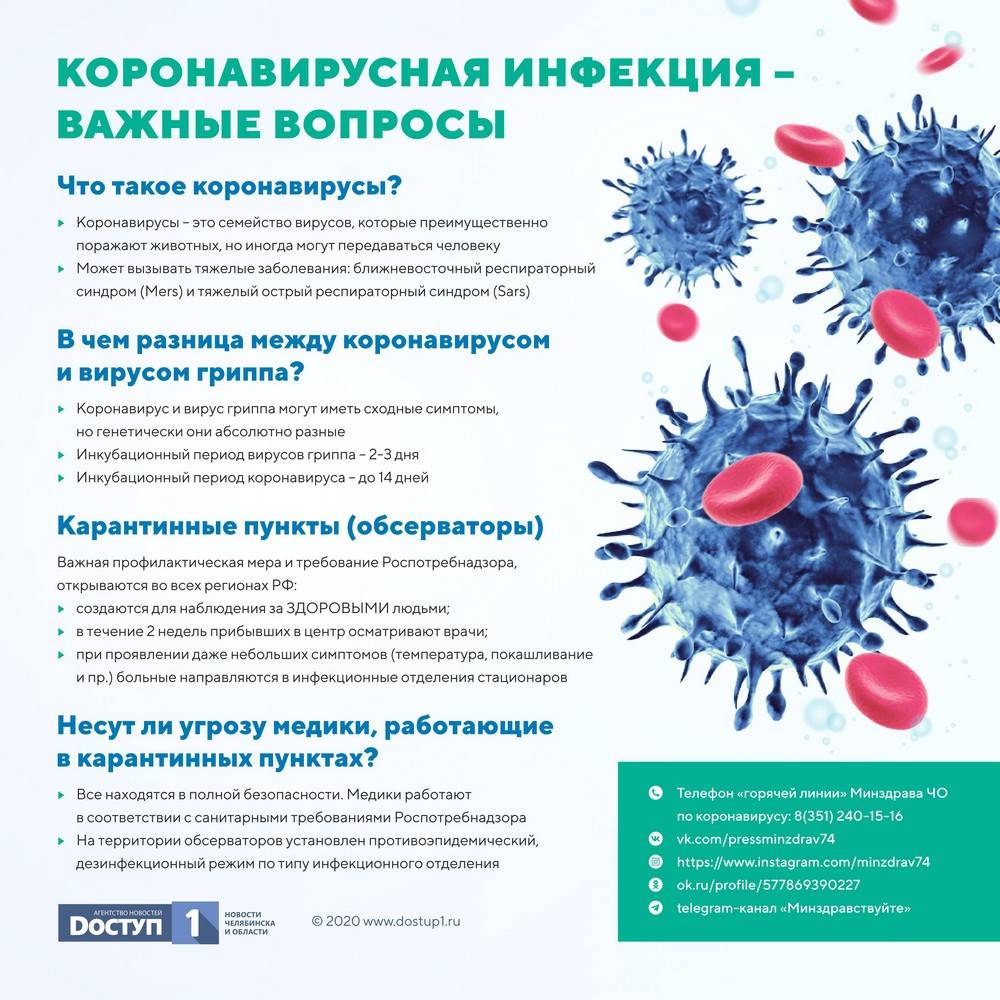 Коронавирусная инфекция: нужно знать каждому, чтобы сохранить свою жизнь