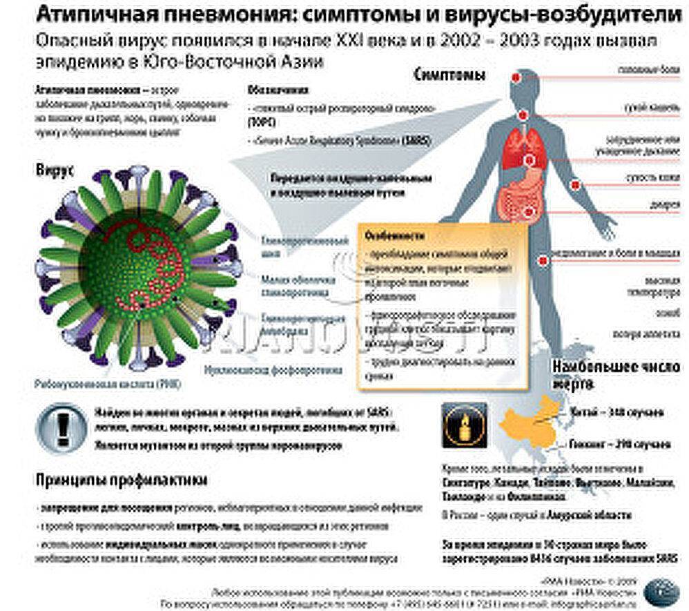 Пневмония заразна или нет: заразно ли воспаление легких, как передается инфекция