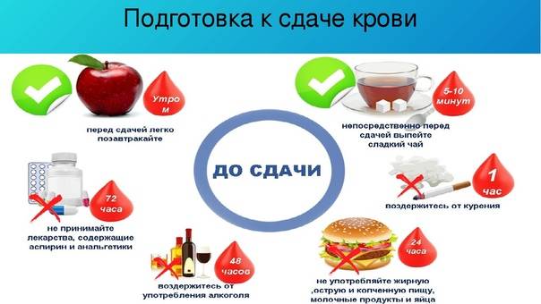Диета перед сдачей крови: разрешенные и запрещенные продукты, особенности и нюансы