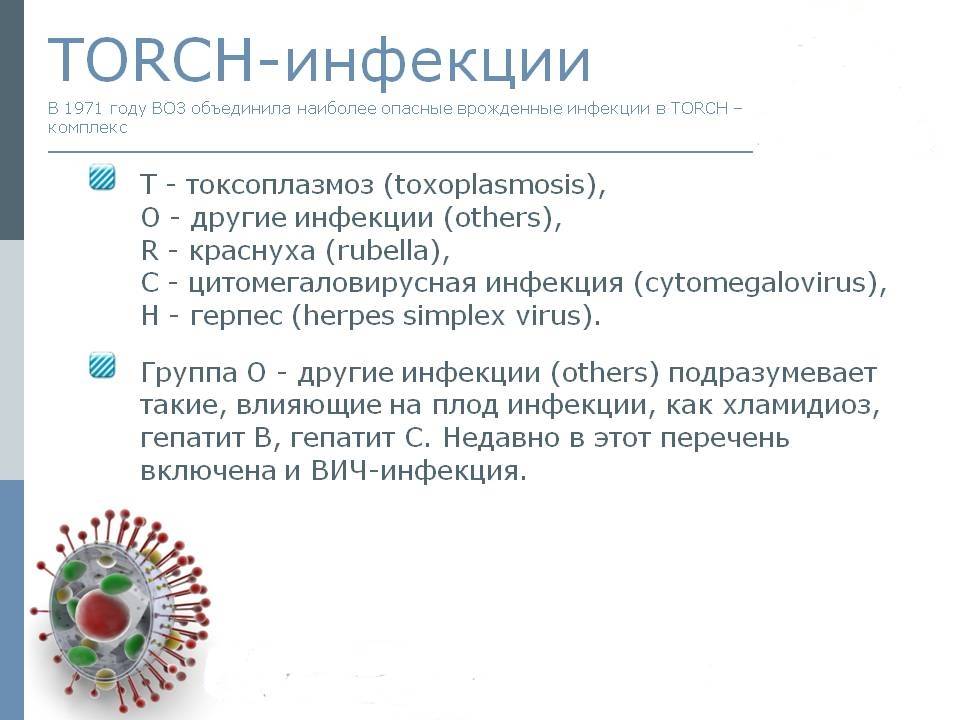 Торч (torch) инфекции - анализы, расшифровка