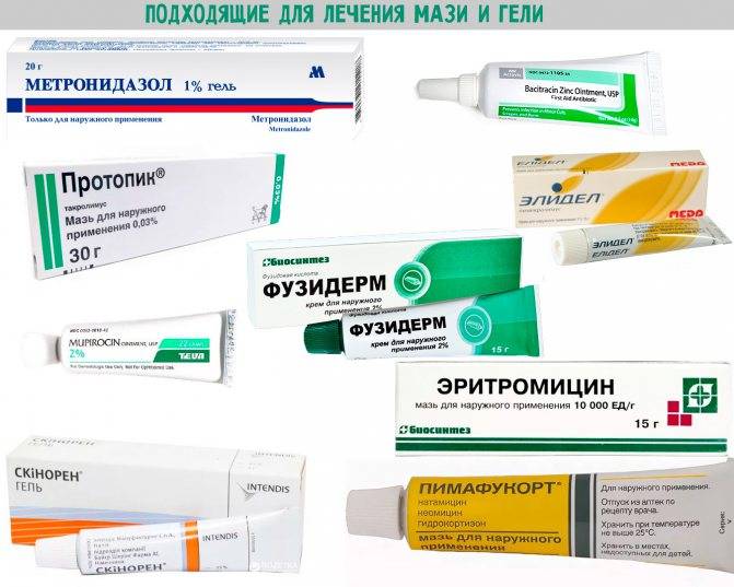 Лучшие мази и крема для лечения дерматита: список эффективных препаратов
