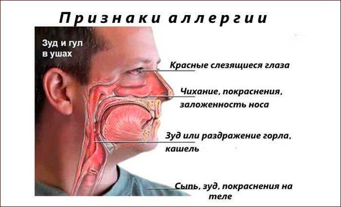 Причины постоянной заложенности носа и принципы лечения подобного состояния