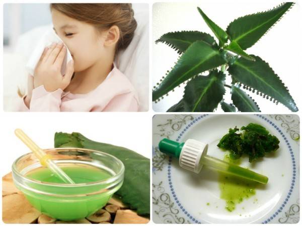 Как остановить насморк: 8 способов быстро остановить течение из носа в домашних условиях, как избавиться от соплей при простуде у взрослого