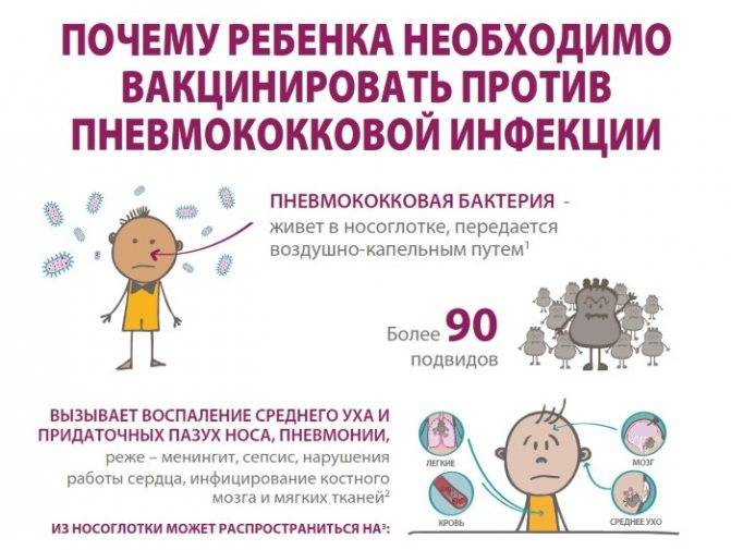 Прививка от пневмококковой инфекции детям: особенности и осложнения