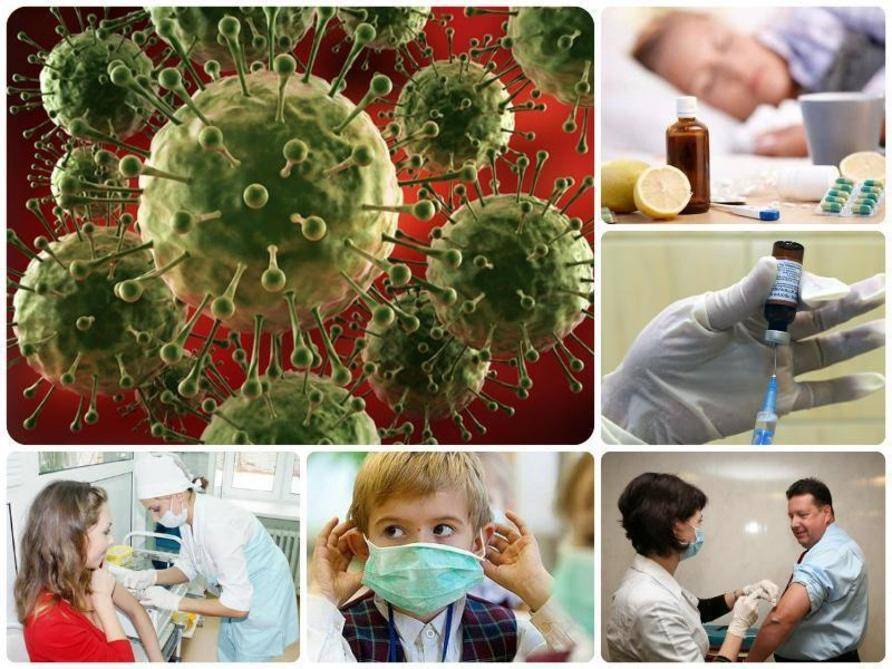 Длительный иммунитет не вырабатывается против заболевания гриппом