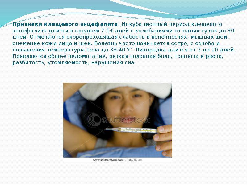 Клещевой энцефалит у детей: симптомы, инкубационный период, лечение и профилактика - sammedic.ru