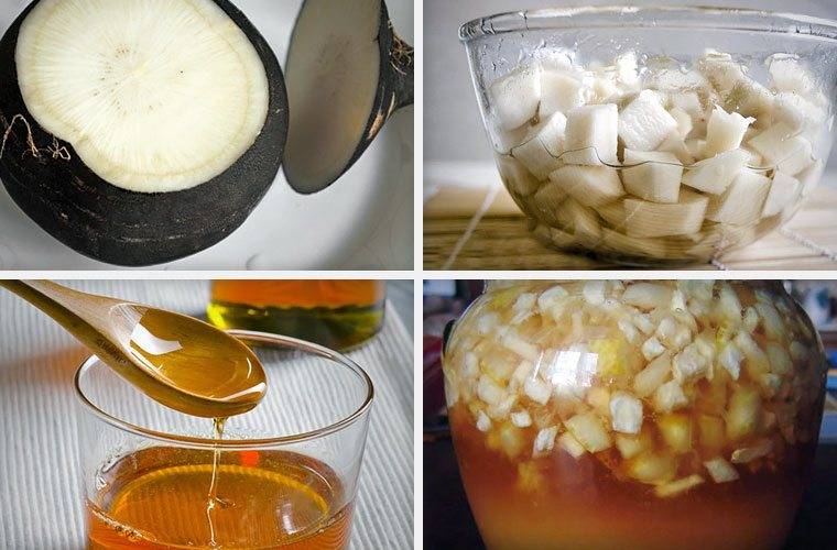 Редька с медом – лучший народный рецепт от кашля