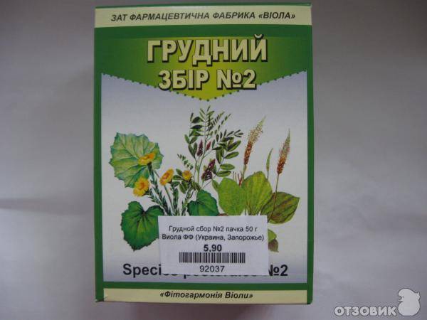 Будь здоров, не кашляй! 10 лекарственных растений от кашля с дачного участка | полезно (огород.ru)