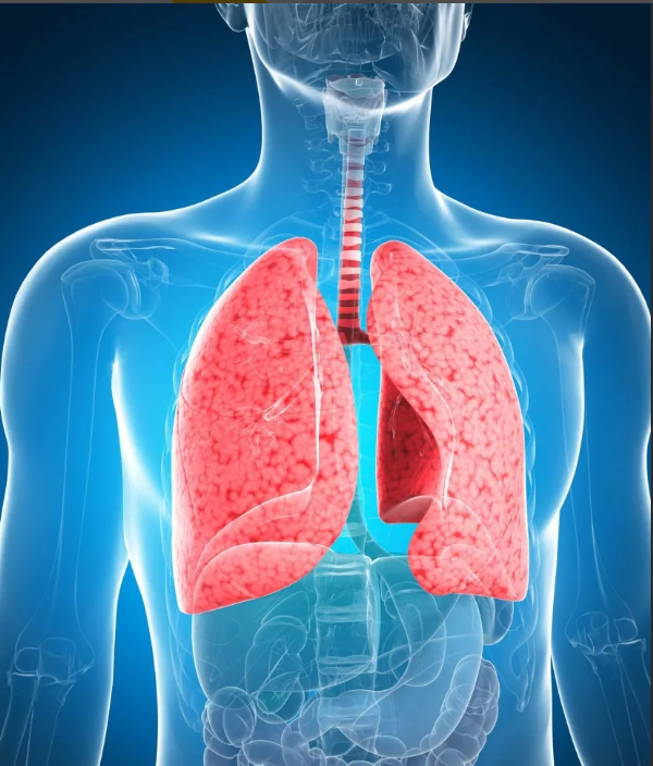 Как лечить пневмонию без кашля