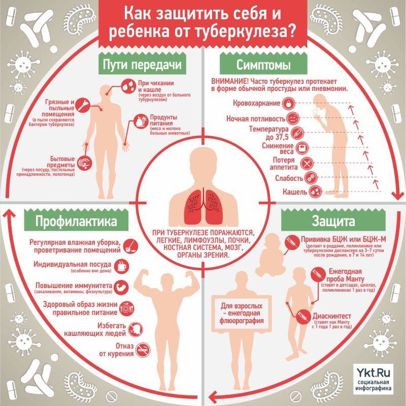 Закрытая форма туберкулеза легких: можно ли заразиться или нет, как передается, насколько это опасно для окружающих, симптомы закрытого типа, лечение