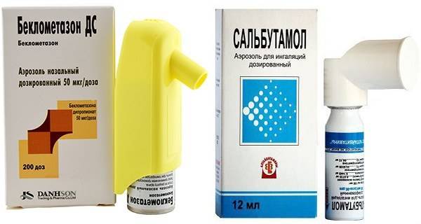 Таблетки от астмы – противоастматические препараты от бронхиальной: список лучших