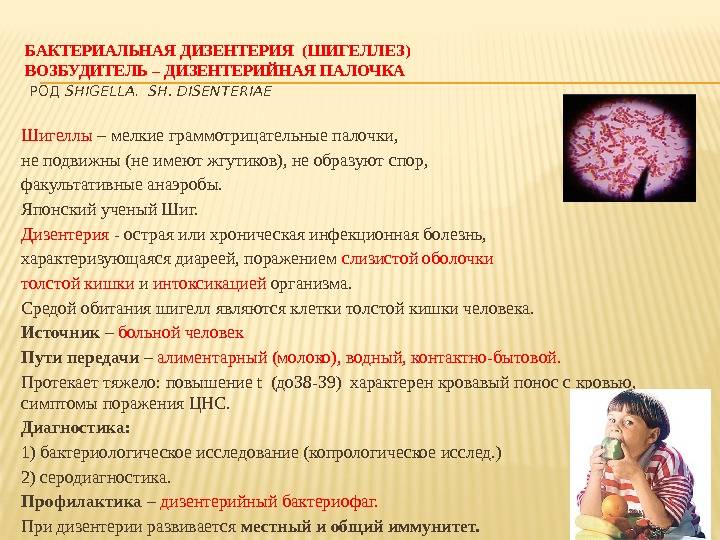 Шигеллез: рекомендации к лечению инфекции у детей у взрослых