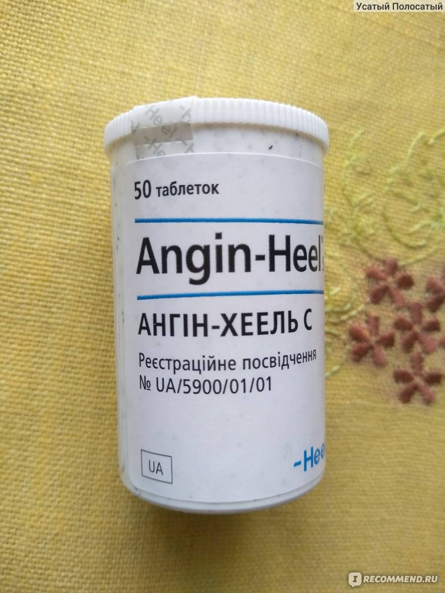 Ангин хель: инструкция по применения для детей и взрослых. стоит ли принимать angine-heel в лечении горла?